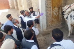 9.Demonstration on removal of gloves Chaman